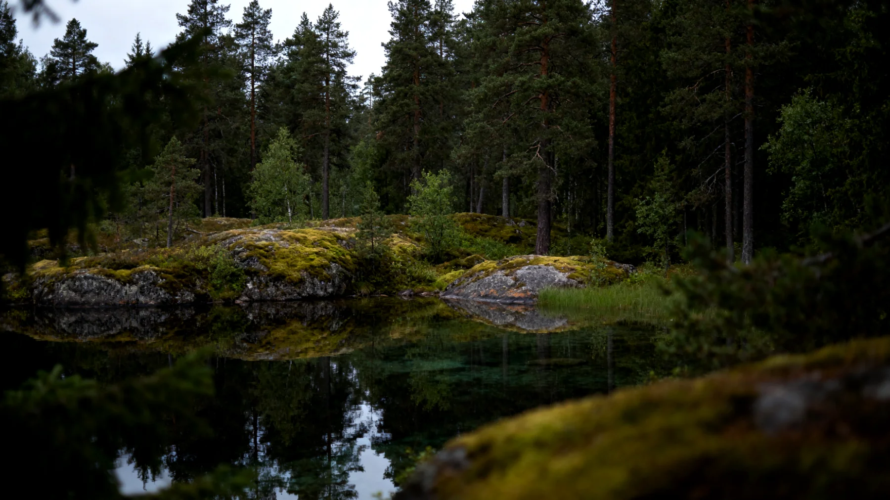 Parco Nazionale di Nuuksio"
