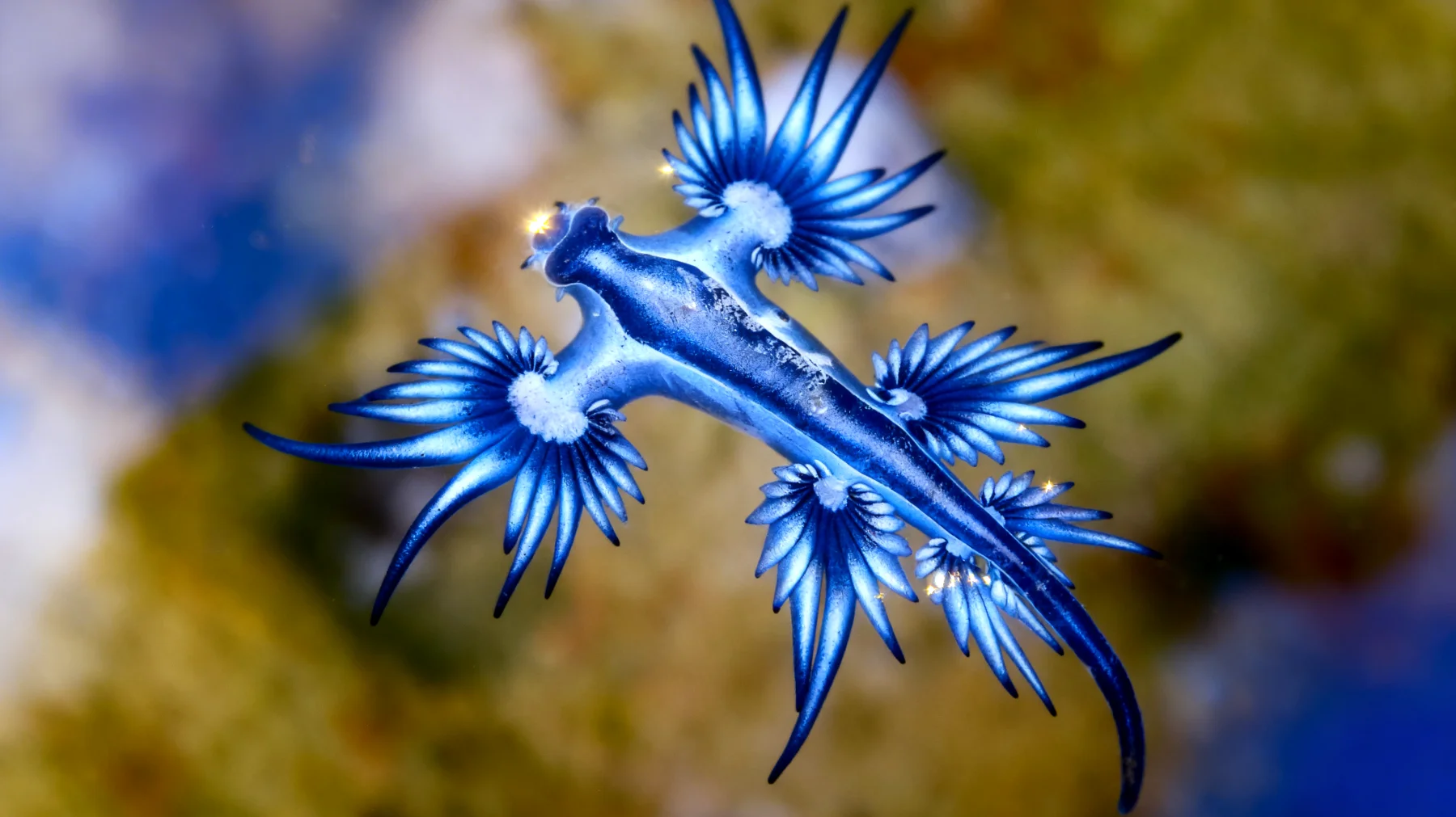 Beautiful 2026-03-05T12:33:27.896Z"